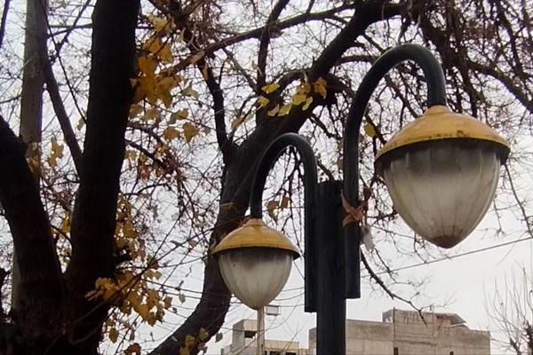 جلوه هایی از باران پاییزی در کاشمر