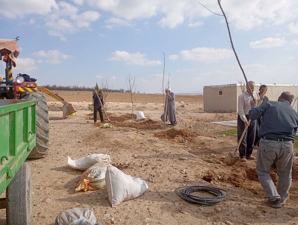 کاشت نهال در آرامستان روستای گزکوه