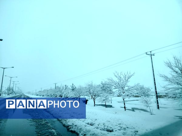 جلوه های زیبا از بارش برف در شهرستان نیشابور 