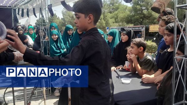 خادمی عاشقانه