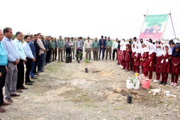 روز درختکاری در رودان