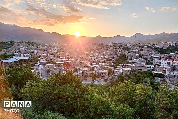 فصل چیدن یاقوت های چشم نواز در شهر بار نیشابور-۲ 