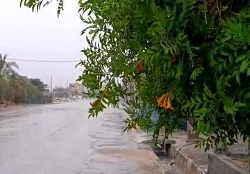 بارش باران الهی در لامرد