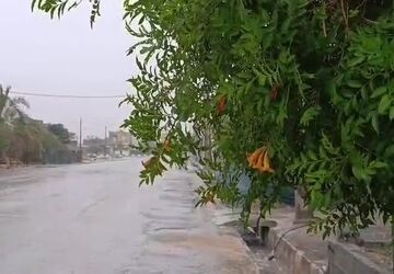 بارش باران الهی در لامرد