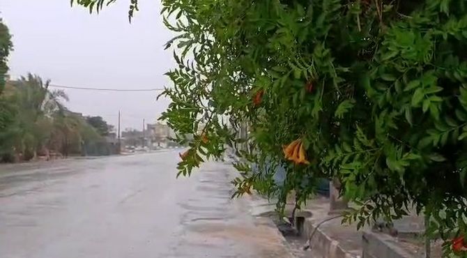 بارش باران الهی در لامرد