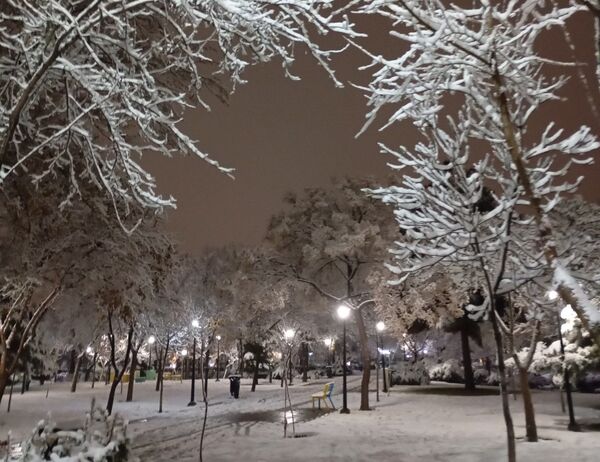 بارش برف در شهر زیبای مشهد 