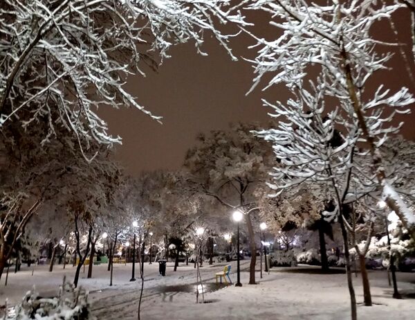 بارش برف در شهر زیبای مشهد 