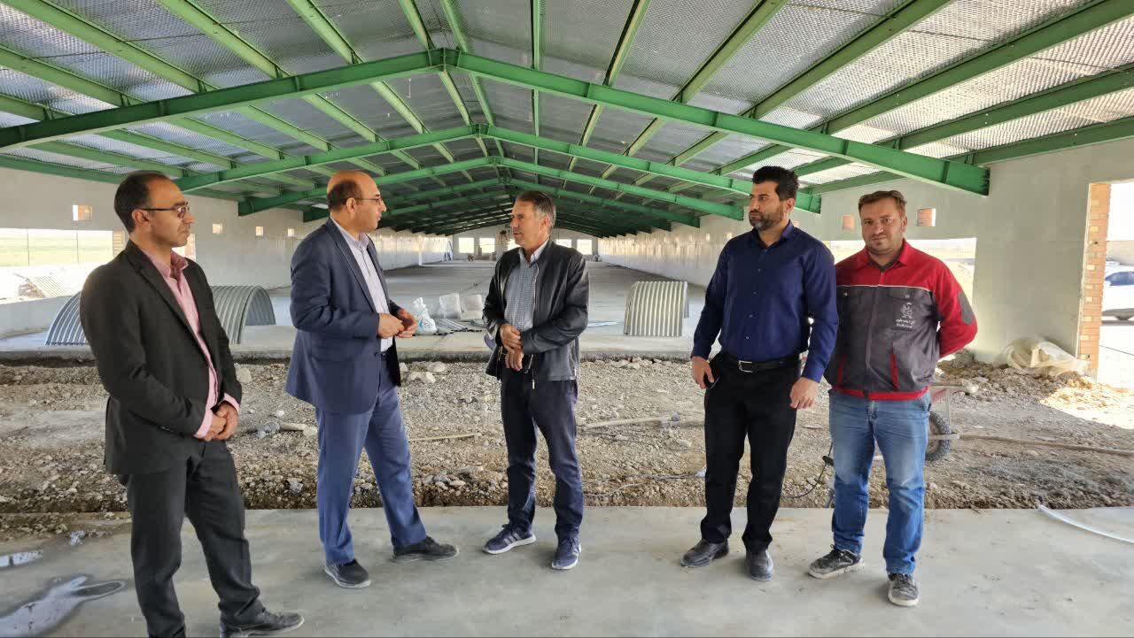 بازدید از واحد پرورش مرغ گوشتی صنعتی شرکت دام و صنعت چمنزار فاروج