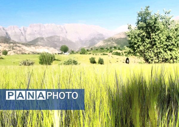 مسن و سرتنگ روستاهایی در دل طبیعت خانمیرزا 