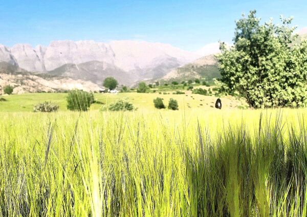 مسن و سرتنگ روستاهایی در دل طبیعت خانمیرزا 