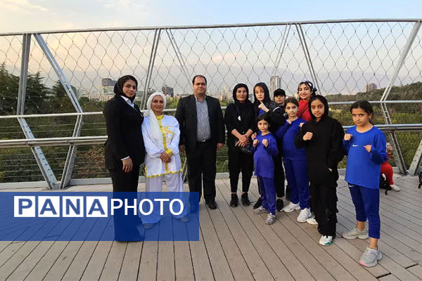 همایش بزرگ ووشو به‌مناسبت هفته تربیت‌بدنی در تهران