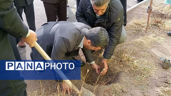 مراسم درخت‌کاری در زنجان