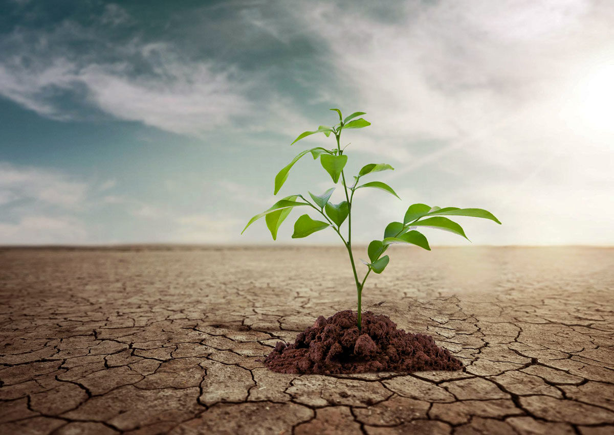 افزایش توان تولید آب در تربت‌حیدریه و نیشابور