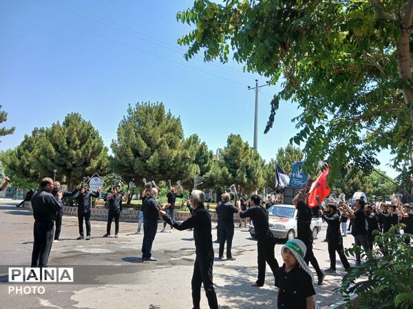 همدلی و ارادت به سیدالشهدا(ع) در تاسوعای حسینی