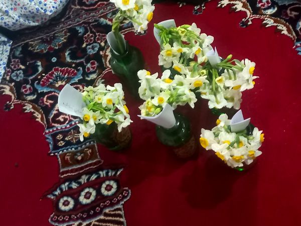 پیشتازان در صف اعتکاف