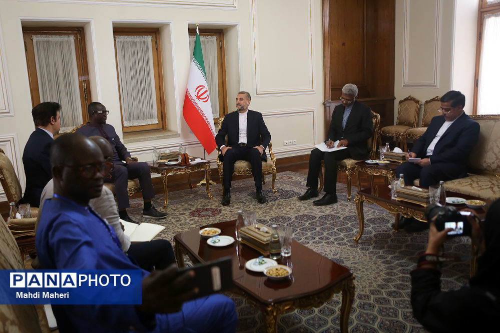 توسعه همه جانبه مناسبات با قاره آفریقا از اولویت‌های ایران است