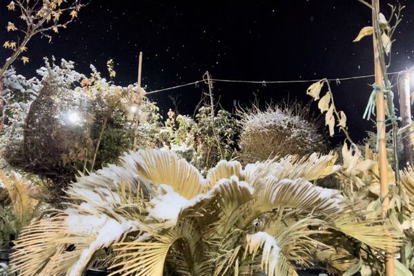 شب زیبای برفی در آباده