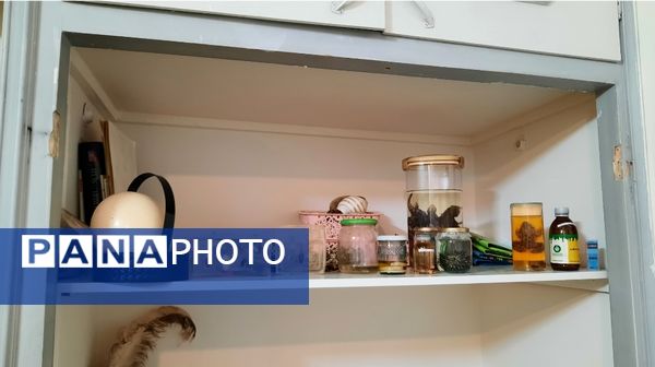 آموزش ماندگار در تجربستان کاوک ناحیه۷ مشهد 