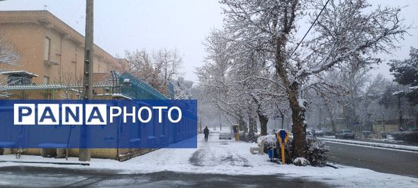 شهر نیشابور سفید پوش شد 