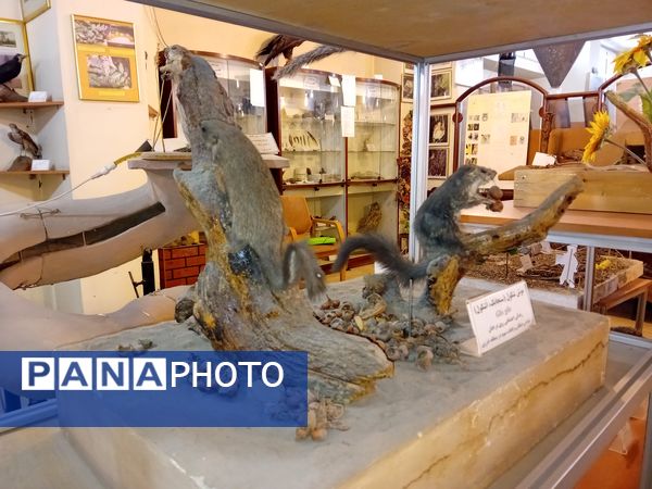 بازدید  خبرنگاران مسئله محور از موسسه گیاه پزشکی تهران