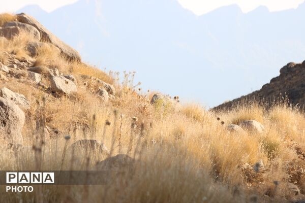 لاسرخ مهریز؛ مقصدی کوهستانی برای طبیعت‌گردان یزد