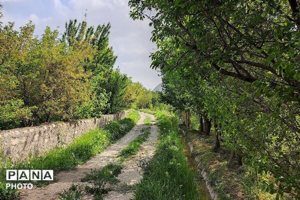آلبوم تصویری از طبیعت زیبای شهر بار در اردیبهشت‌ماه  ۱۴۰۵ـ۲