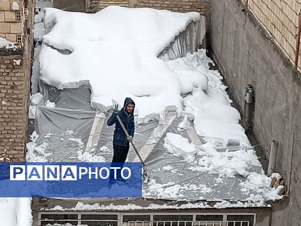 بارش برف در مشهد