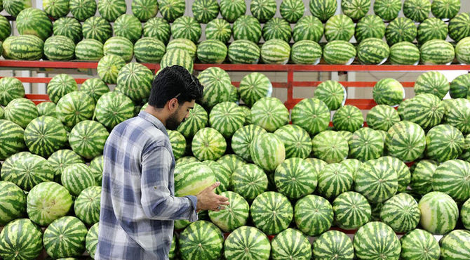 تغییر ساعات میادین و بازارهای میوه و تره‌بار به مناسبت شب یلدا