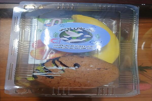 زنگ صلح  و دوستی در دومین روز از سال تحصیلی در مدرسه شاهد ائمه اطهار پاکدشت نواخته شد 