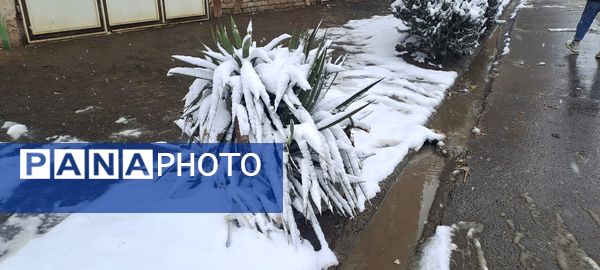 شهر نیشابور سفید پوش شد 