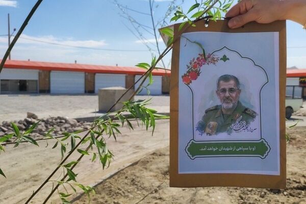 پویش کاشت نهال به یاد شهدای جنگ تحمیلی سوم در بوستان شهدای میناب شهرستان شیروان