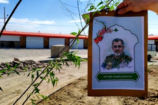 پویش کاشت نهال به یاد شهدای جنگ تحمیلی سوم در بوستان شهدای میناب شهرستان شیروان