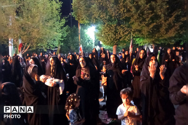 ایستادگی در سایه پرچم وطن