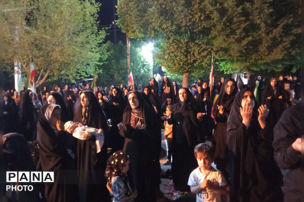 ایستادگی در سایه پرچم وطن