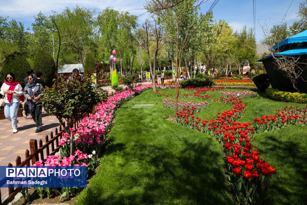 جشنواره لاله ها در کرج