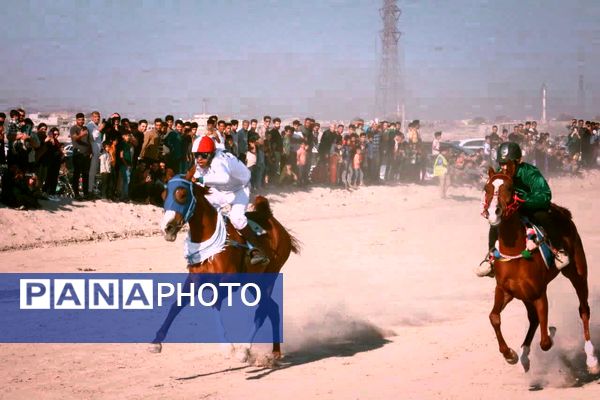 دومین دوره مسابقات اسب‌دوانی استان‌های جنوبی کشور در بندرپل