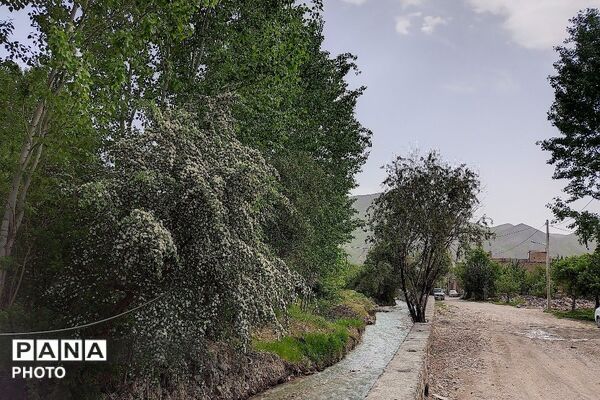 آلبوم تصویری از طبیعت زیبای شهر بار در اردیبهشت‌ماه  ۱۴۰۵ـ۲