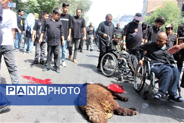 جلوه‌های باشکوه عزاداری روز عاشورا در قم