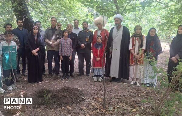 سرو ایران در آزادشهر ریشه دواند