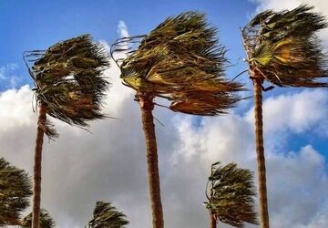 افزایش سرعت وزش باد در جنوب کشور