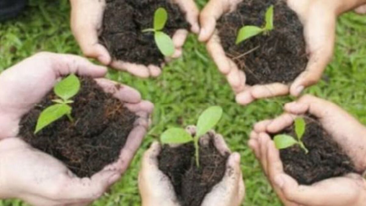 صدایی برای سبز ماندن وطن