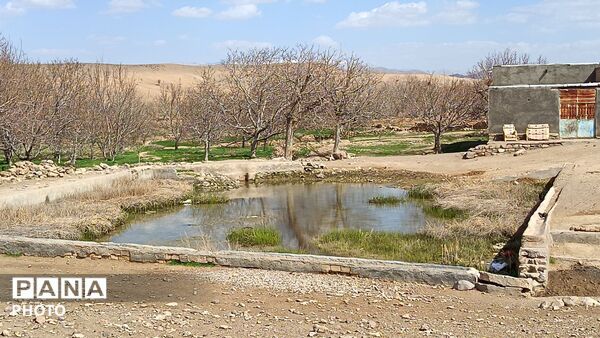 رویش شکوفه های امید در فصل بهار روستای برزنون 