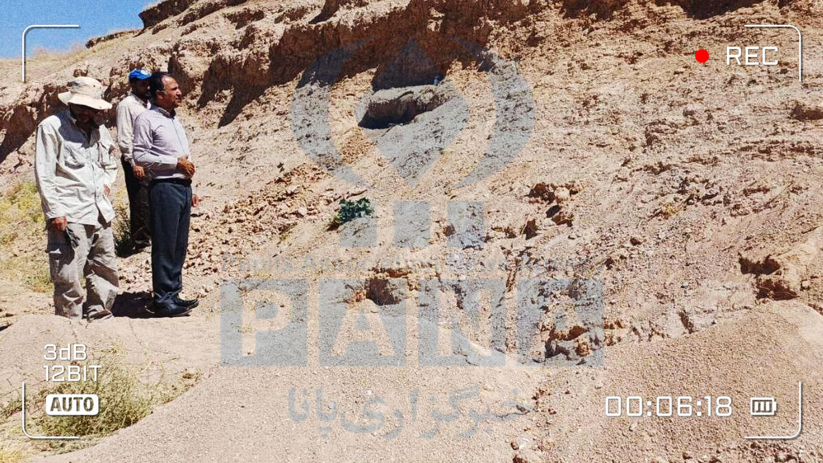 کشف سایت فسیلی ۸ میلیون ساله در دهگلان