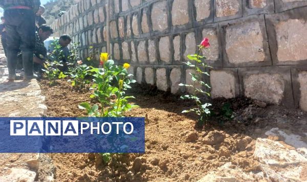 کاشت گل و گیاه در شهر منج، راهی برای احیای زمین