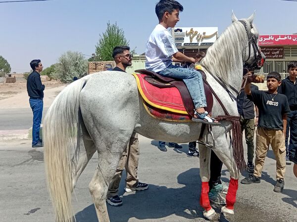 نقنه در سوگ عاشورا؛ رنگ عشق و مقاومت در عزاداری سیدالشهدا