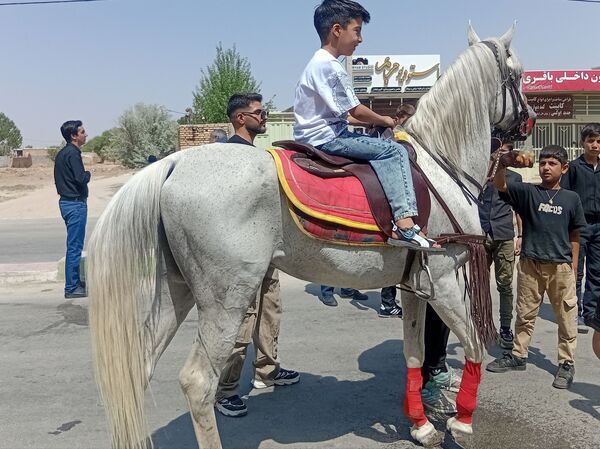 نقنه در سوگ عاشورا؛ رنگ عشق و مقاومت در عزاداری سیدالشهدا