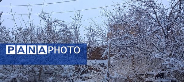 نسر در آغوش برف بهاری؛ زیبایی طبیعت دوچندان شد 