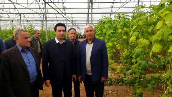 بازدید از گلخانه نمونه خسروشاه در هفته بسیج