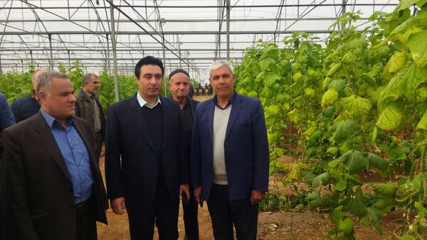 بازدید از گلخانه نمونه خسروشاه در هفته بسیج