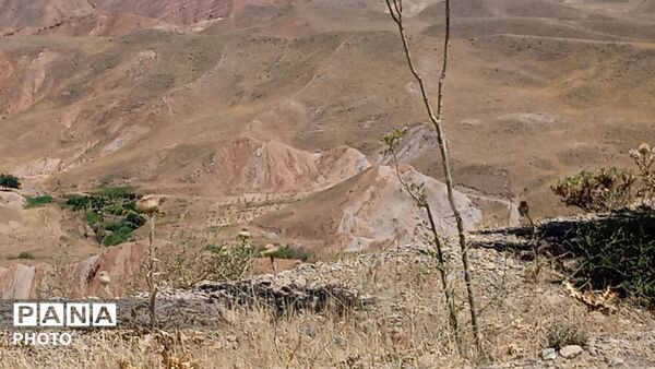 کوه ها و طبیعت زیبای بوژ آباد میهمان قاب پانا
